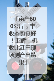 亩产600公斤，丰收态势良好！卫辉：机收比武田现场测产出结果