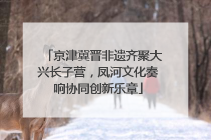 京津冀晋非遗齐聚大兴长子营，凤河文化奏响协同创新乐章