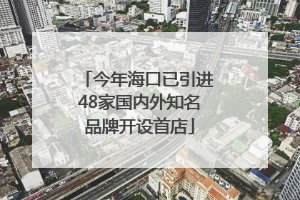 今年海口已引进48家国内外知名品牌开设首店