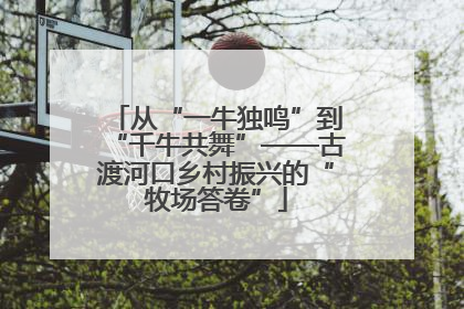 从“一牛独鸣”到“千牛共舞”——古渡河口乡村振兴的“牧场答卷”