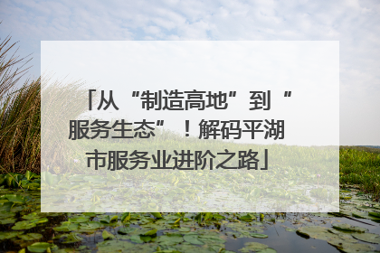 从“制造高地”到“服务生态”！解码平湖市服务业进阶之路