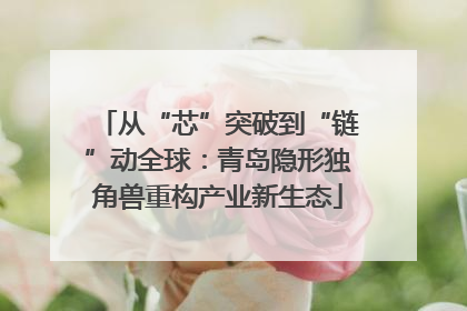 从“芯”突破到“链”动全球：青岛隐形独角兽重构产业新生态