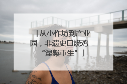 从小作坊到产业园，非遗史口烧鸡“涅槃重生”