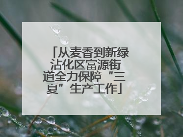 从麦香到新绿 沾化区富源街道全力保障“三夏”生产工作