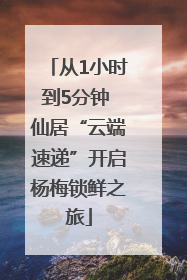从1小时到5分钟 仙居“云端速递”开启杨梅锁鲜之旅