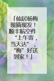 仙居杨梅现摘现发！顺丰航空件“上午寄，当天达”，“梅”好送到家！