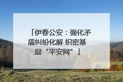 伊春公安：强化矛盾纠纷化解 织密基层“平安网”
