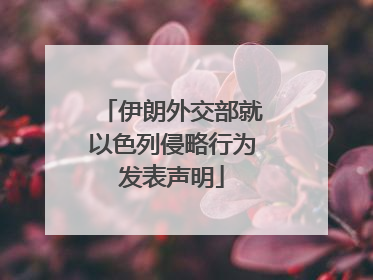伊朗外交部就以色列侵略行为发表声明