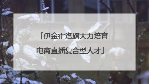 伊金霍洛旗大力培育电商直播复合型人才