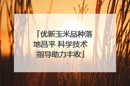 优新玉米品种落地昌平 科学技术指导助力丰收