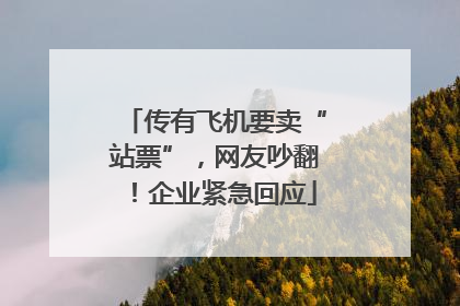 传有飞机要卖“站票”，网友吵翻！企业紧急回应