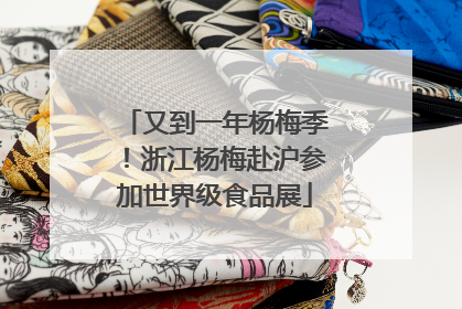 又到一年杨梅季！浙江杨梅赴沪参加世界级食品展