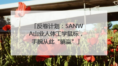 反卷计划：SANWA山业人体工学鼠标，手腕从此“躺赢”