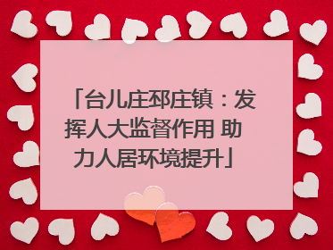 台儿庄邳庄镇：发挥人大监督作用 助力人居环境提升
