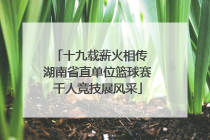十九载薪火相传 湖南省直单位篮球赛千人竞技展风采