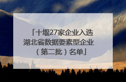 十堰27家企业入选湖北省数据要素型企业（第二批）名单