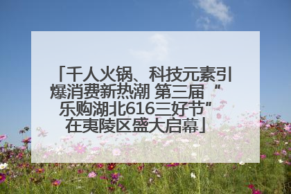 千人火锅、科技元素引爆消费新热潮 第三届“乐购湖北616三好节”在夷陵区盛大启幕