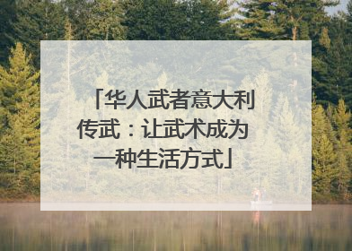 华人武者意大利传武：让武术成为一种生活方式