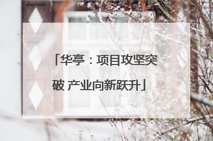 华亭：项目攻坚突破 产业向新跃升