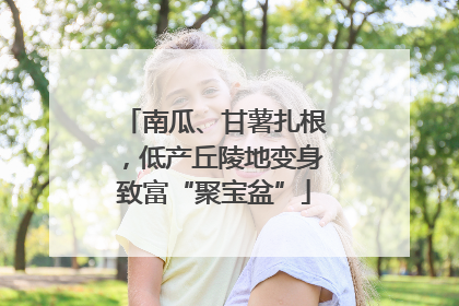 南瓜、甘薯扎根，低产丘陵地变身致富“聚宝盆”