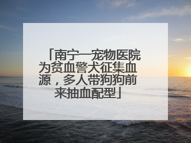 南宁一宠物医院为贫血警犬征集血源，多人带狗狗前来抽血配型