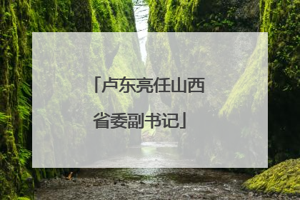 卢东亮任山西省委副书记