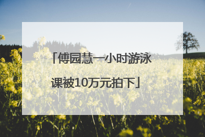 傅园慧一小时游泳课被10万元拍下