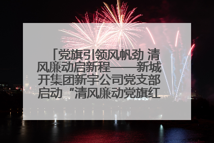 党旗引领风帆劲 清风廉动启新程——新城开集团新宇公司党支部启动“清风廉动党旗红”系列活动