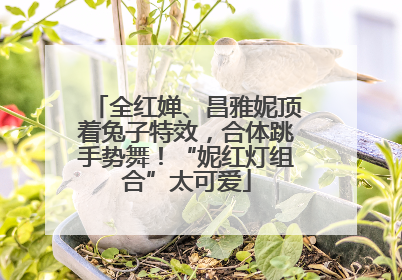 全红婵、昌雅妮顶着兔子特效，合体跳手势舞！“妮红灯组合”太可爱