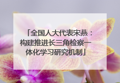 全国人大代表宋燕：构建推进长三角检察一体化学习研究机制