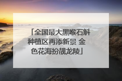 全国最大黑喉石斛种植区再添新景 金色花海扮靓龙陵