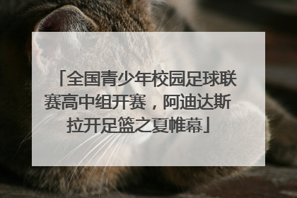 全国青少年校园足球联赛高中组开赛，阿迪达斯拉开足篮之夏帷幕
