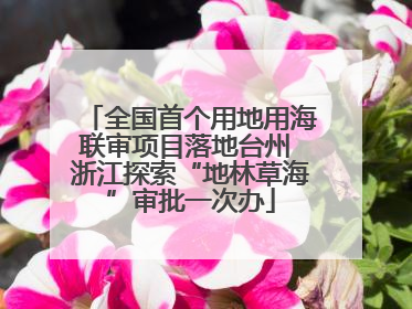 全国首个用地用海联审项目落地台州 浙江探索“地林草海”审批一次办