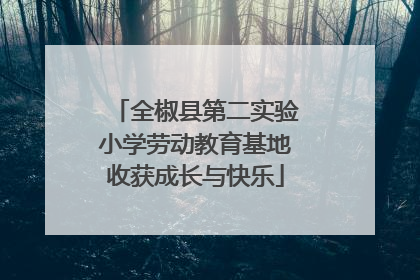 全椒县第二实验小学劳动教育基地收获成长与快乐