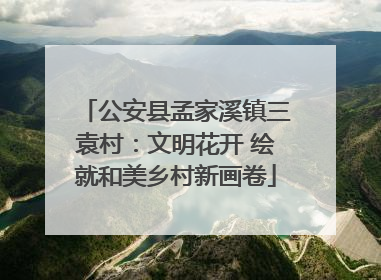公安县孟家溪镇三袁村：文明花开 绘就和美乡村新画卷