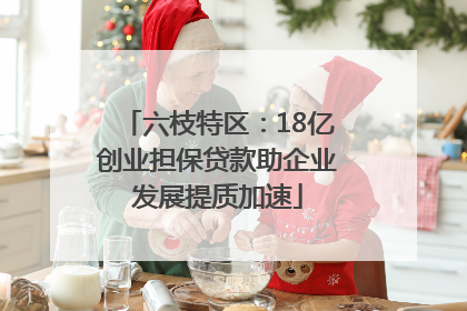 六枝特区：18亿创业担保贷款助企业发展提质加速