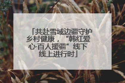 共赴雪域边疆守护乡村健康，“韩红爱心·百人援疆”线下线上进行时