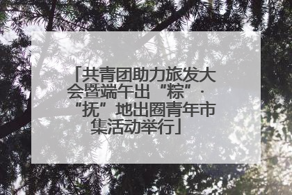 共青团助力旅发大会暨端午出“粽”·“抚”地出圈青年市集活动举行