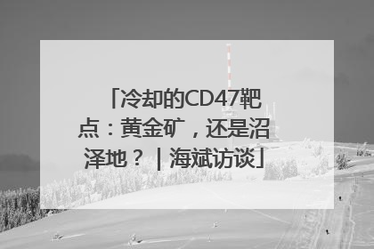冷却的CD47靶点：黄金矿，还是沼泽地？｜海斌访谈