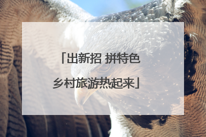 出新招 拼特色 乡村旅游热起来