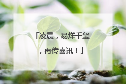 凌晨，易烊千玺，再传喜讯！