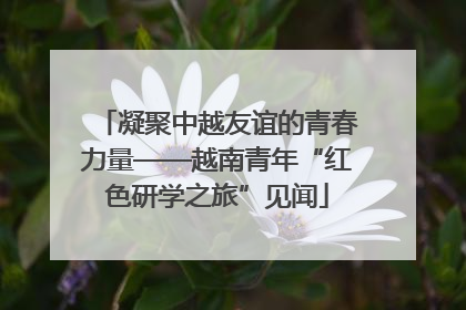 凝聚中越友谊的青春力量——越南青年“红色研学之旅”见闻