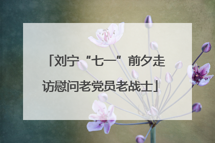 刘宁“七一”前夕走访慰问老党员老战士