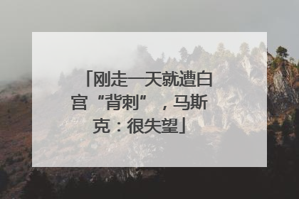 刚走一天就遭白宫“背刺”，马斯克：很失望