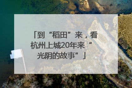 到“稻田”来，看杭州上城20年来“光阴的故事”