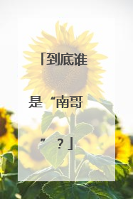 到底谁是“南哥”？