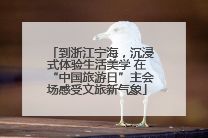 到浙江宁海，沉浸式体验生活美学 在“中国旅游日”主会场感受文旅新气象