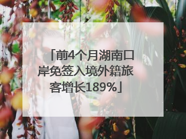 前4个月湖南口岸免签入境外籍旅客增长189%