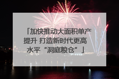 加快推动大面积单产提升 打造新时代更高水平“洞庭粮仓”