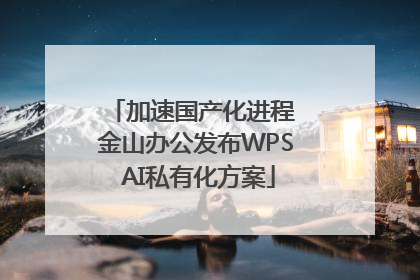 加速国产化进程 金山办公发布WPS AI私有化方案